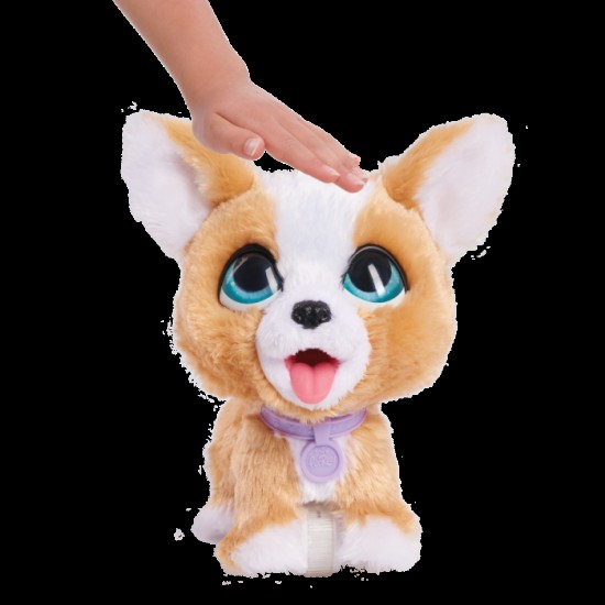 FURREAL Interaktīvais dzīvnieciņš Poop-a-lots, Korgijs 28057J FURREAL Interaktīvais dzīvnieciņš Poop-a-lots, Korgijs 28057J
