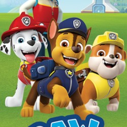 Bērnu dvielis Paw Patrol 70x140cm G0134